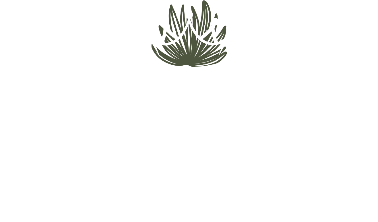 Battle of the Blancos Full Logo